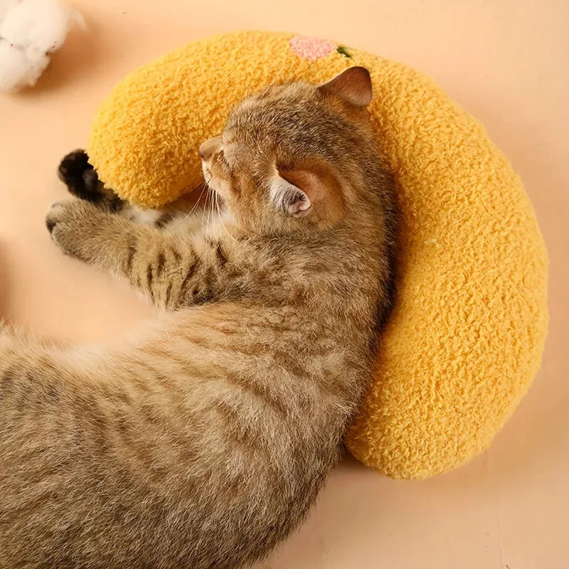 Cozy Cat Pillow