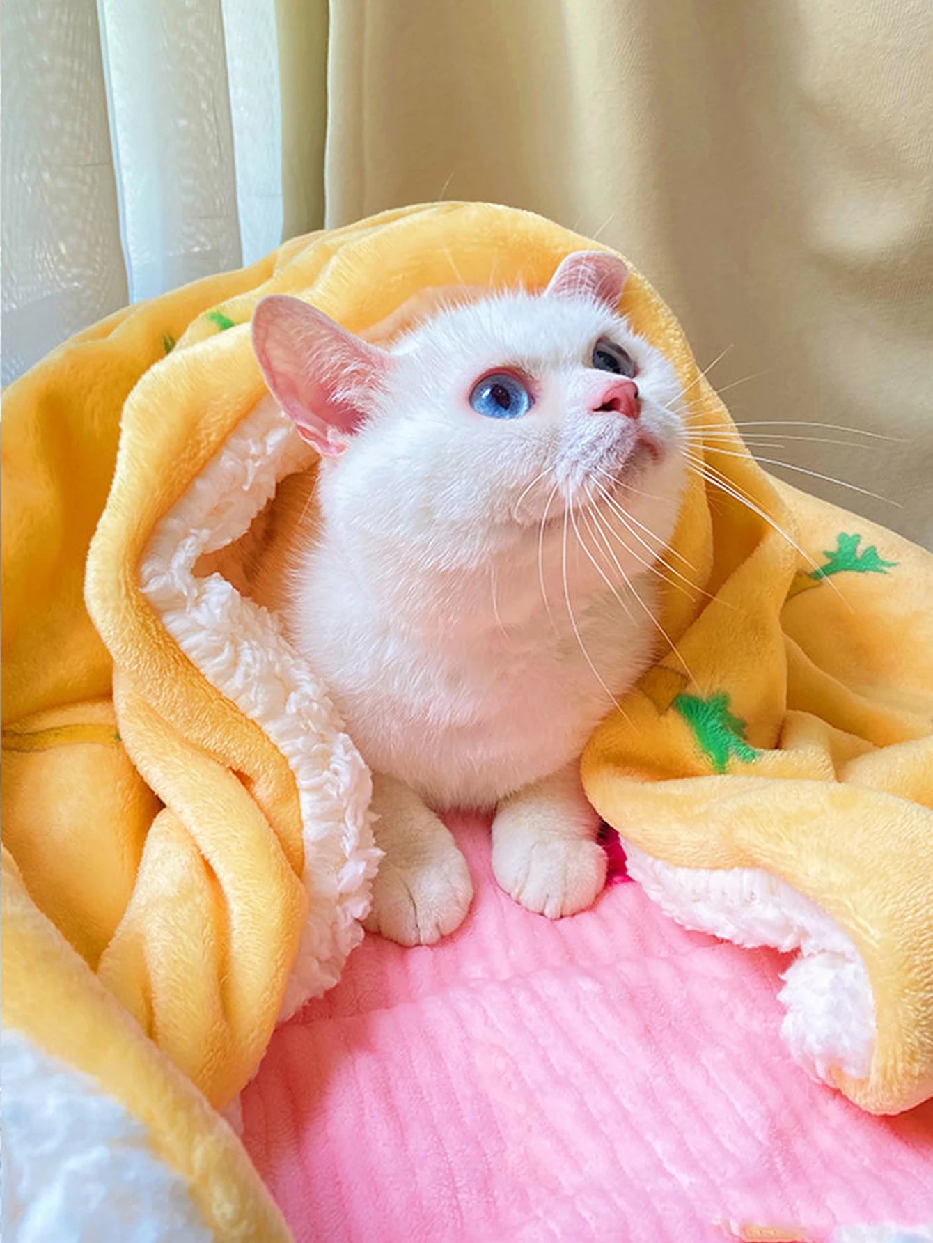 Cozy Cat Blanket