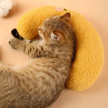 Cozy Cat Pillow